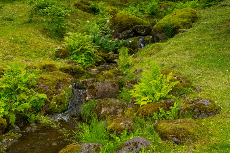 kadrioru-pargi-jaapani-aed-49