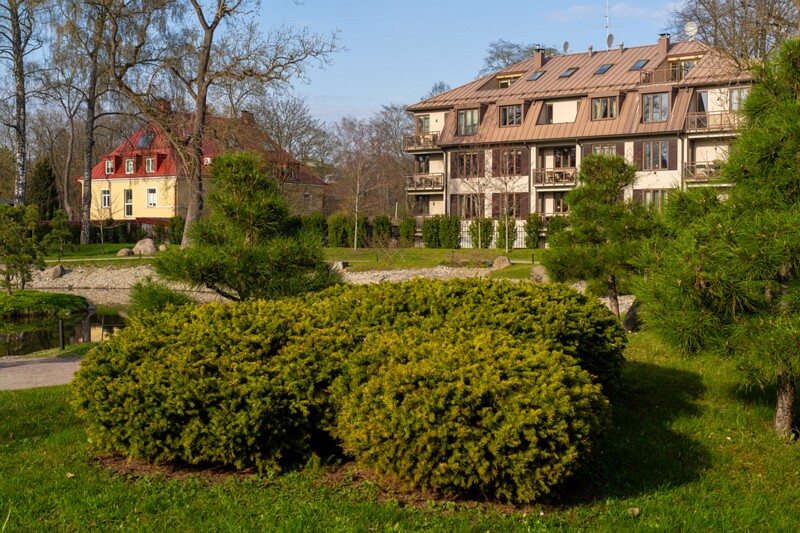 kadrioru-pargi-jaapani-aed 2025-04-19 1-11