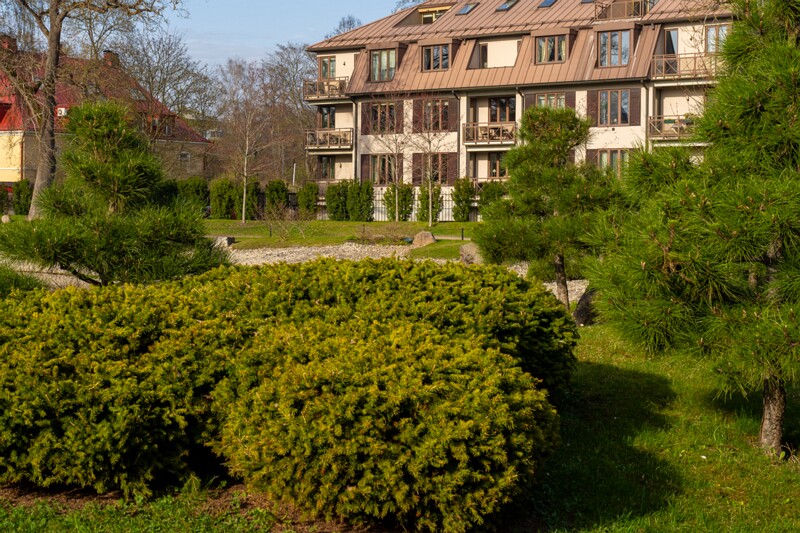 kadrioru-pargi-jaapani-aed 2025-04-19 1-13