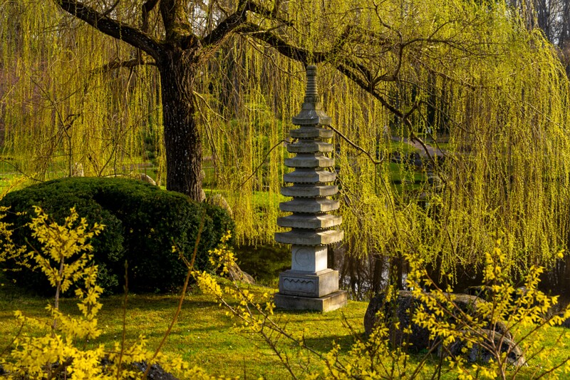 kadrioru-pargi-jaapani-aed 2025-04-19 1-14