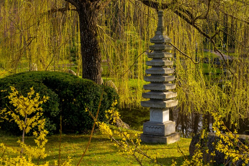 kadrioru-pargi-jaapani-aed 2025-04-19 1-15