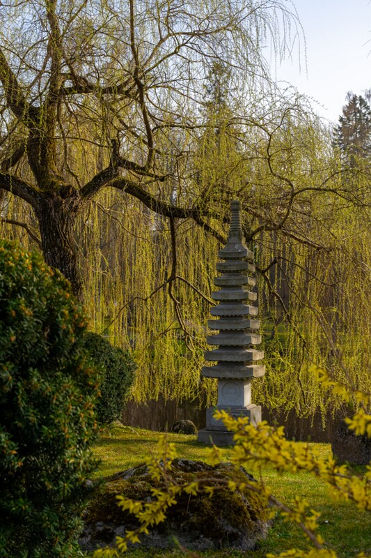 kadrioru-pargi-jaapani-aed 2025-04-19 1-17