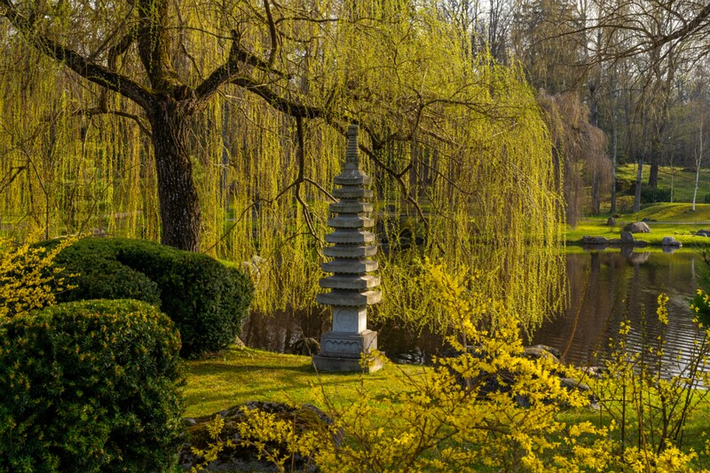 kadrioru-pargi-jaapani-aed 2025-04-19 1-19