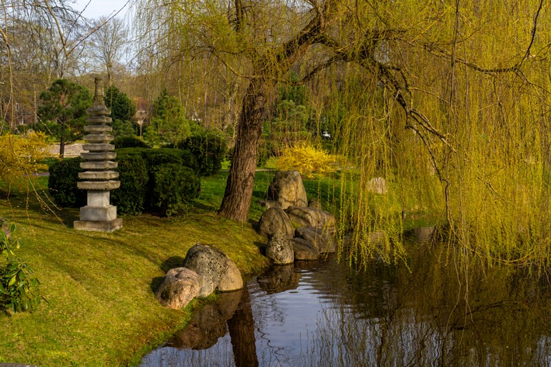 kadrioru-pargi-jaapani-aed 2025-04-19 1-20