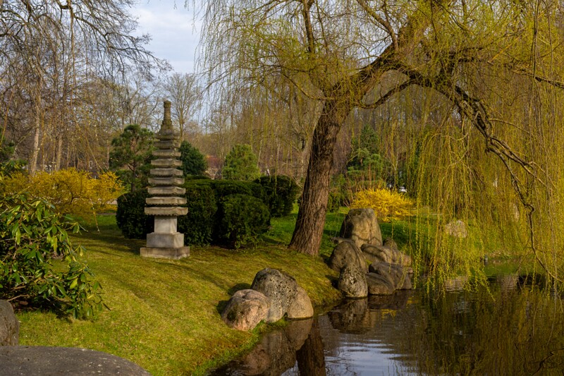 kadrioru-pargi-jaapani-aed 2025-04-19 1-21