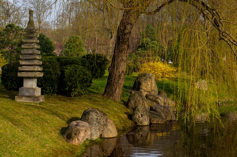 kadrioru-pargi-jaapani-aed 2025-04-19 1-22