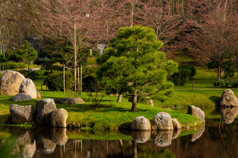 kadrioru-pargi-jaapani-aed 2025-04-19 1-23