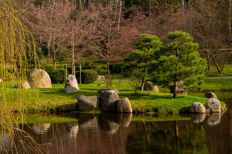 kadrioru-pargi-jaapani-aed 2025-04-19 1-25