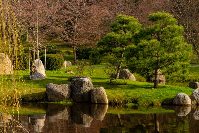 kadrioru-pargi-jaapani-aed 2025-04-19 1-26