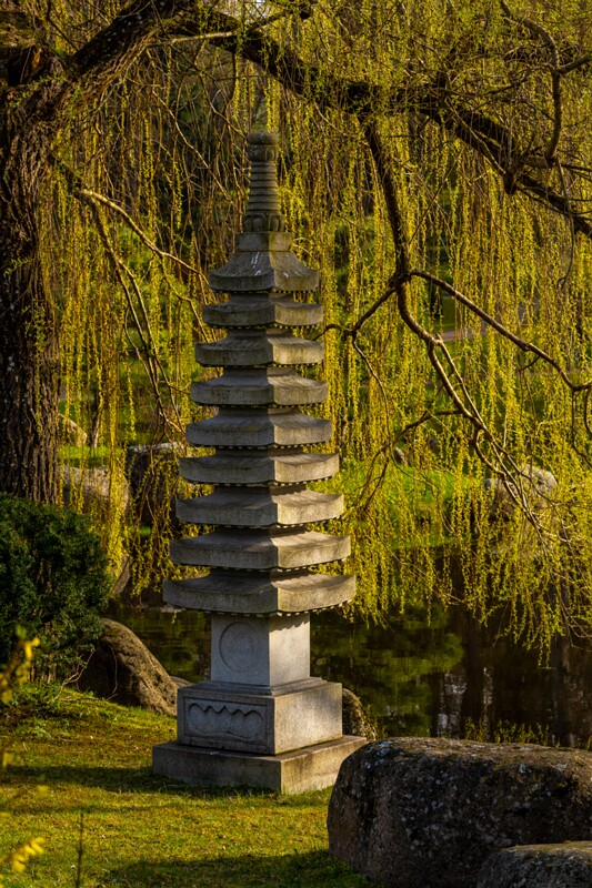 kadrioru-pargi-jaapani-aed 2025-04-19 1-30