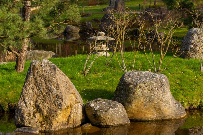 kadrioru-pargi-jaapani-aed 2025-04-19 1-32