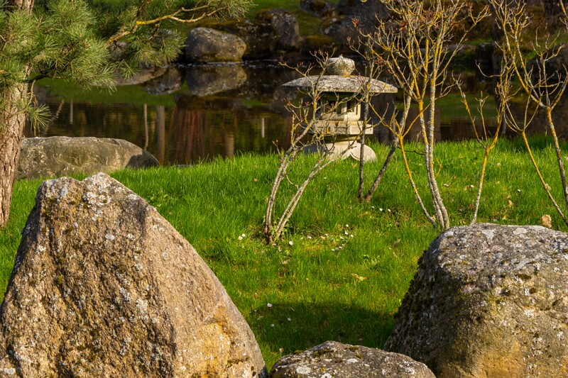 kadrioru-pargi-jaapani-aed 2025-04-19 1-33