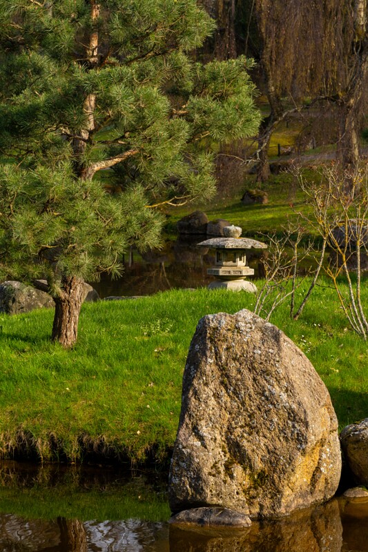 kadrioru-pargi-jaapani-aed 2025-04-19 1-34