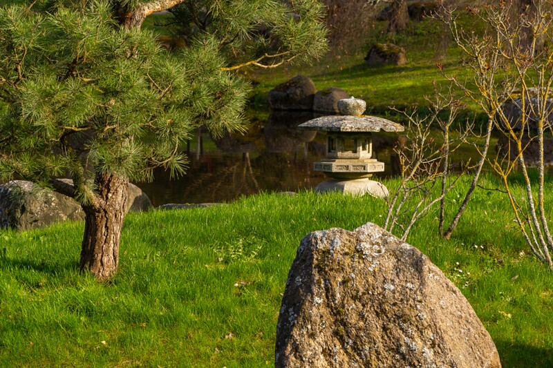 kadrioru-pargi-jaapani-aed 2025-04-19 1-35