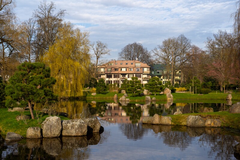 kadrioru-pargi-jaapani-aed 2025-04-19 1-41