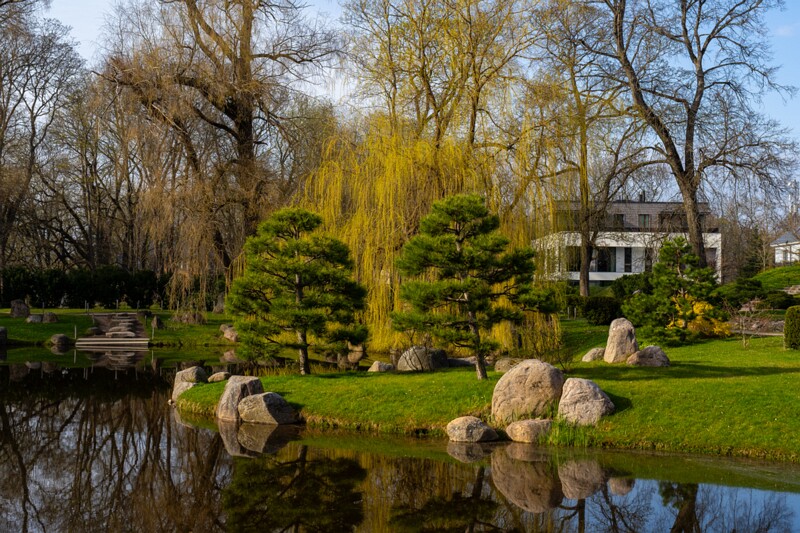 kadrioru-pargi-jaapani-aed 2025-04-19 1-5