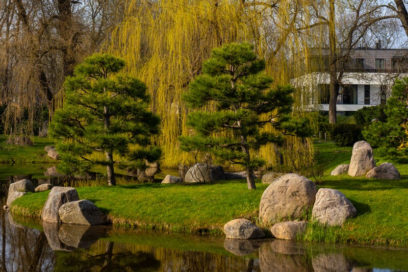 kadrioru-pargi-jaapani-aed 2025-04-19 1-6