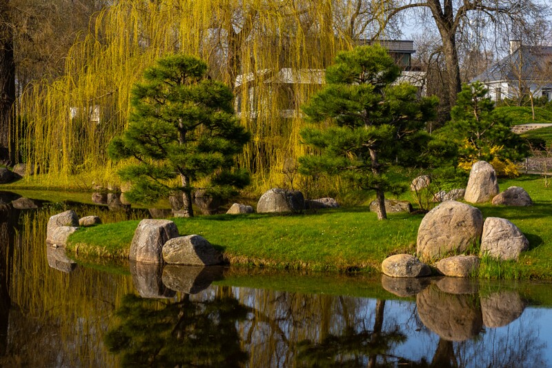 kadrioru-pargi-jaapani-aed 2025-04-19 1-7