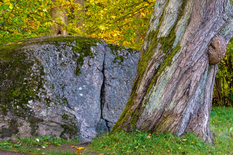 Kadrioru Põhja kivi  2025-10-18 1-1