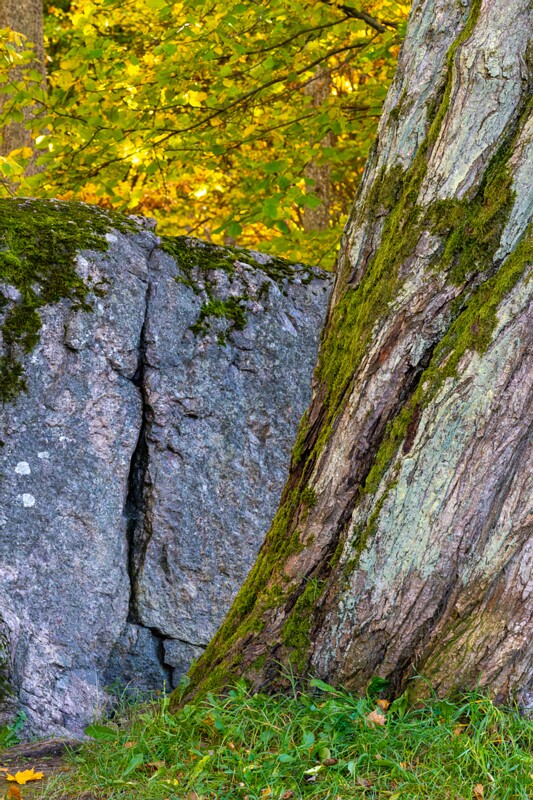 Kadrioru Põhja kivi  2025-10-18 1-2