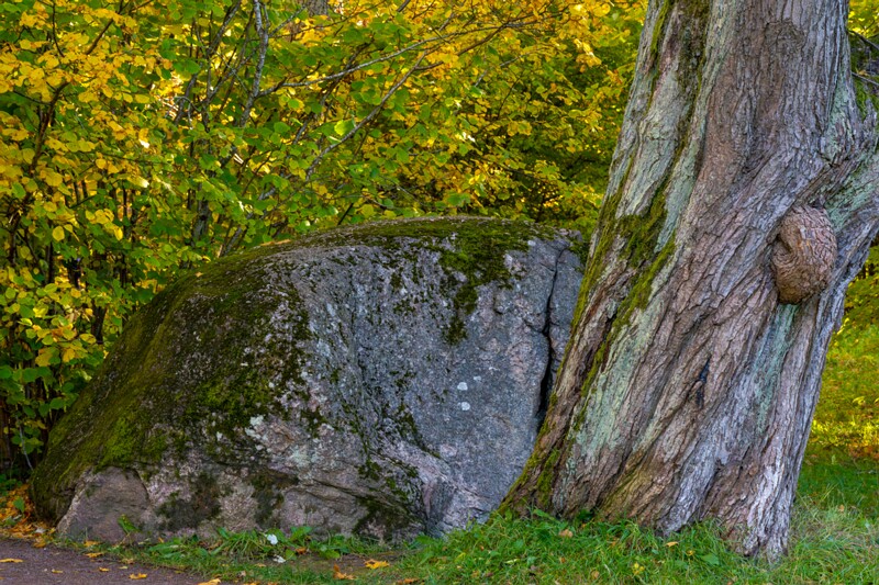 Kadrioru Põhja kivi  2025-10-18 1-3