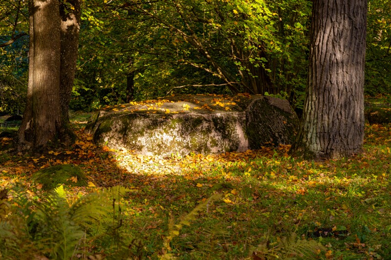 Kadrioru kivikülv  2025-10-18 1-1