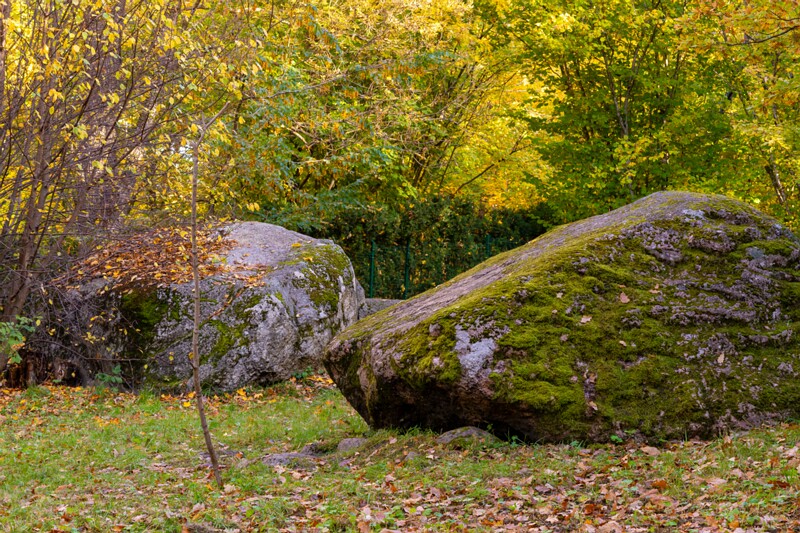 Kadrioru kivikülv  2025-10-18 1-13