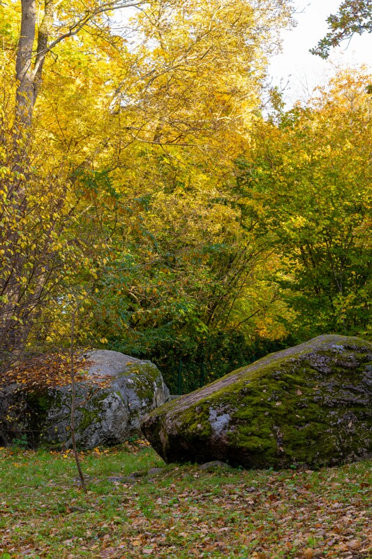 Kadrioru kivikülv  2025-10-18 1-14