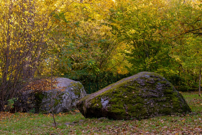 Kadrioru kivikülv  2025-10-18 1-15