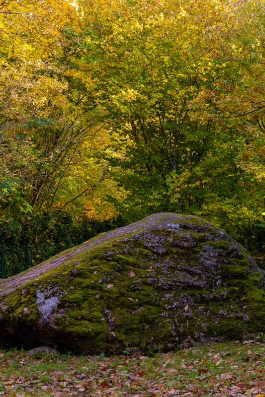 Kadrioru kivikülv  2025-10-18 1-16