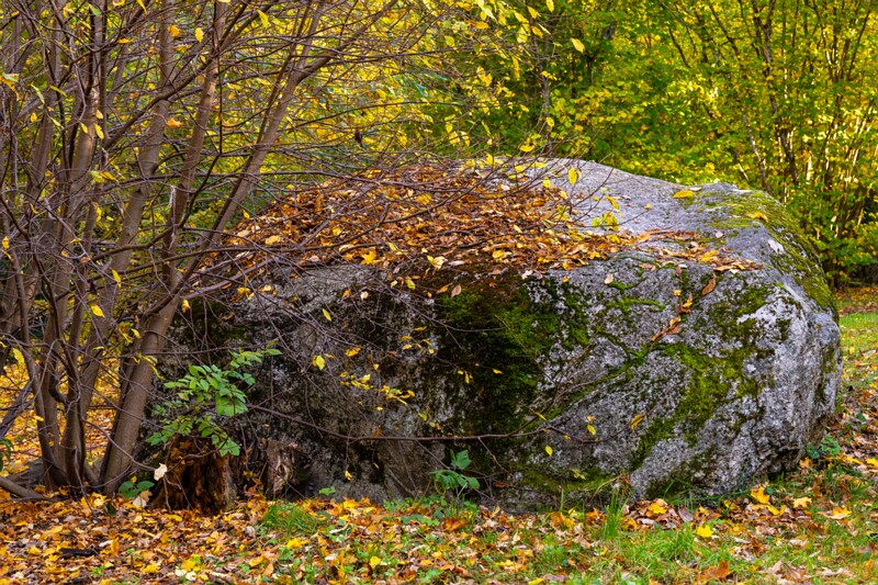 Kadrioru kivikülv  2025-10-18 1-17