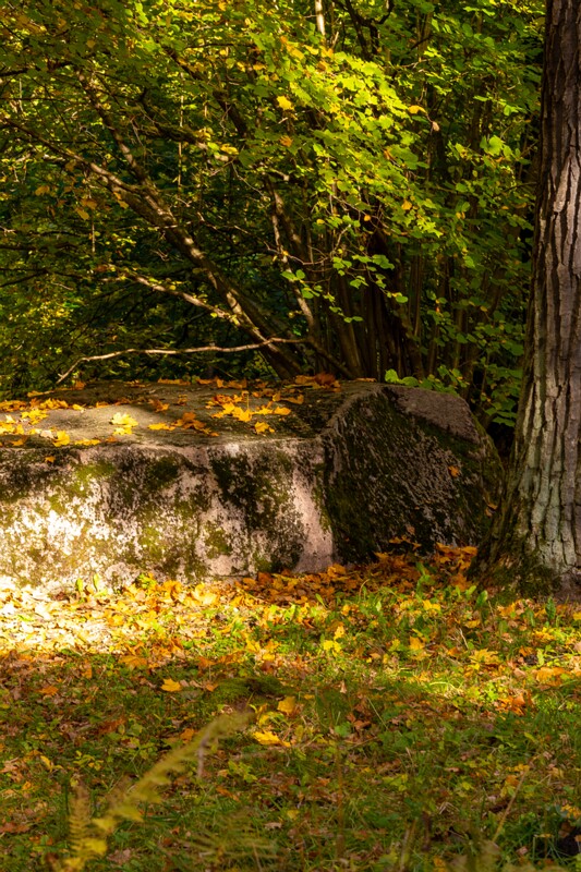 Kadrioru kivikülv  2025-10-18 1-2