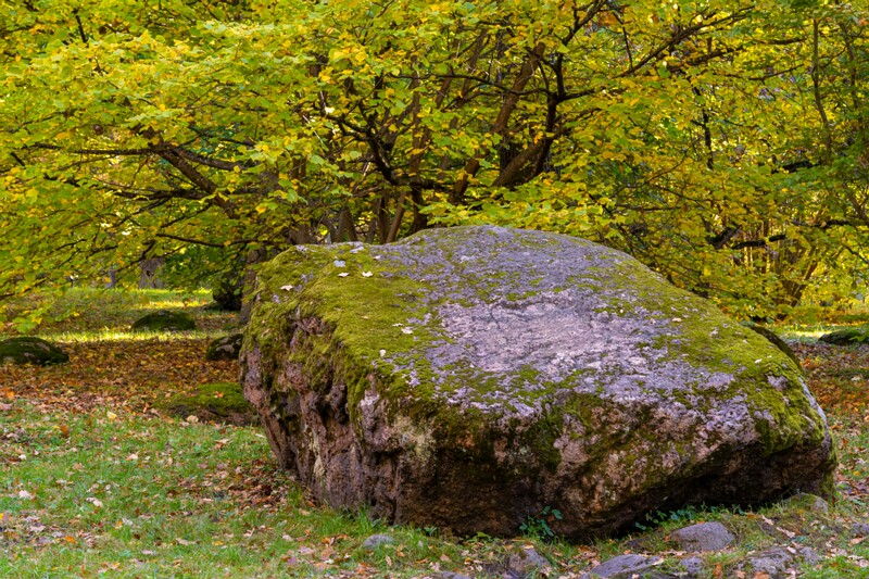 Kadrioru kivikülv  2025-10-18 1-20