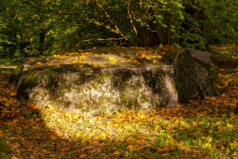 Kadrioru kivikülv  2025-10-18 1-5