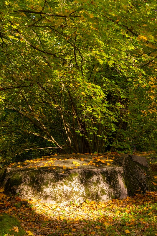 Kadrioru kivikülv  2025-10-18 1-7