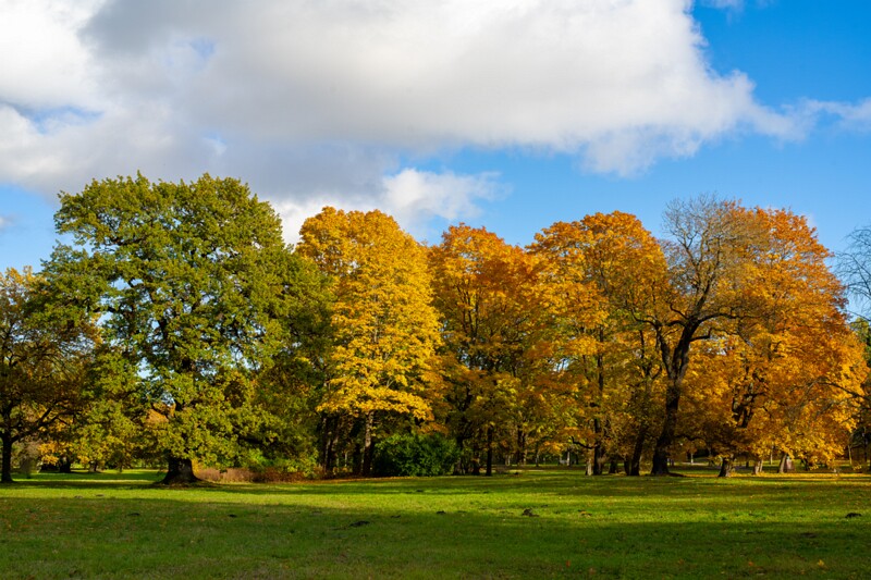 Kadrioru park sügisel  2025-10-18 1-34