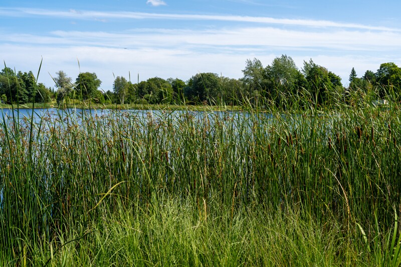 Kernu Mõis  2026-08-01 1-1