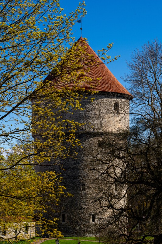 kiek-in-de-kyok 2025-05-03 1-1