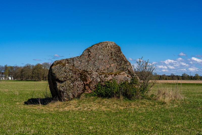 Kiviloo Nõiakivi  2026-05-05 1-14