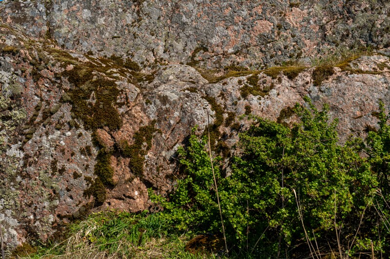 Kiviloo Nõiakivi  2026-05-05 1-16