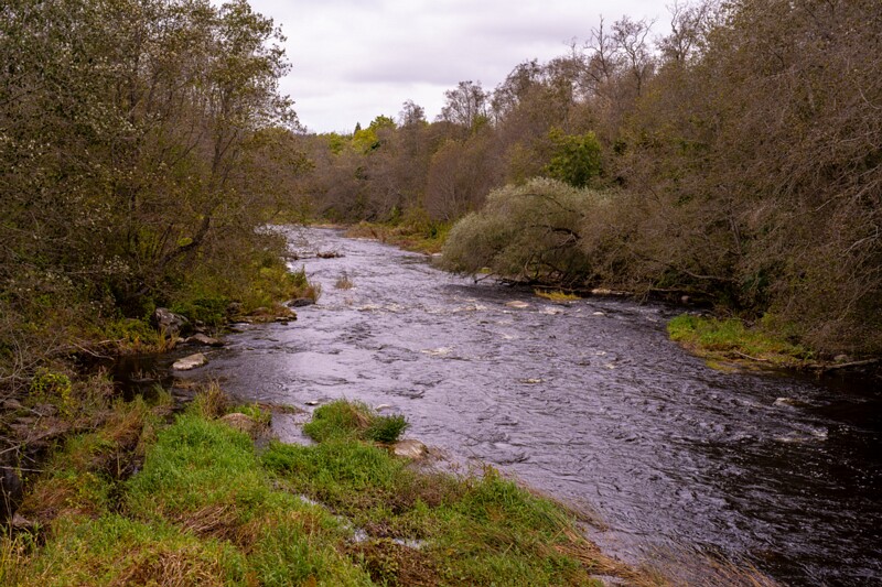 Kloostrimetsa rippsild  2025-10-04 1-13