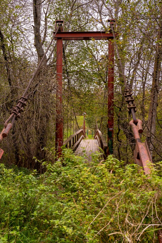 Kloostrimetsa rippsild  2025-10-04 1-4