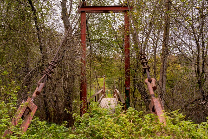 Kloostrimetsa rippsild  2025-10-04 1-5