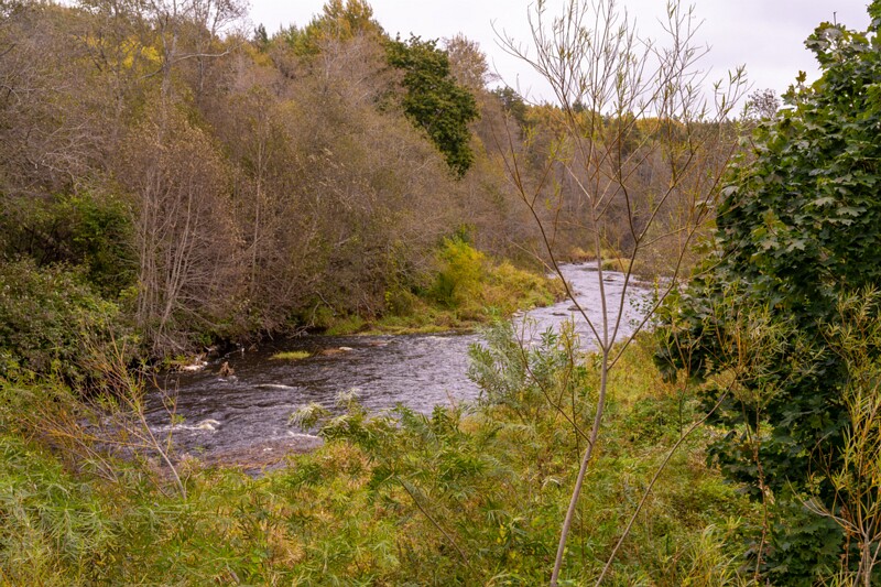 Kloostrimetsa rippsild  2025-10-04 1-9