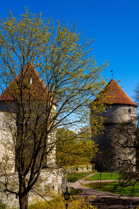 komandandi-aed 2025-05-03 1-2