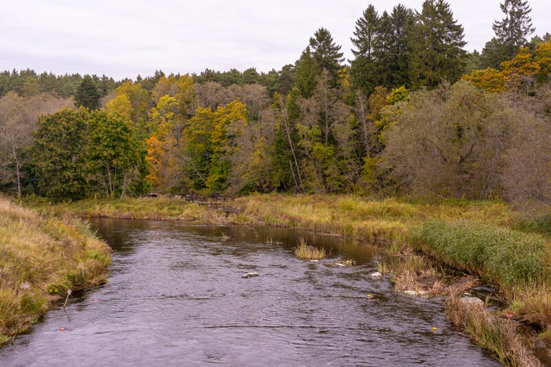 Kose-Lükati sild  2025-10-04 1-21