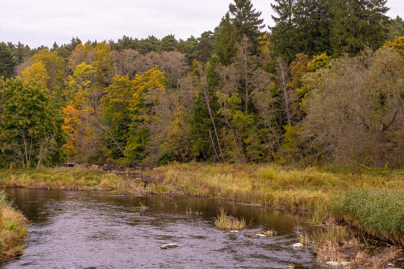 Kose-Lükati sild  2025-10-04 1-22