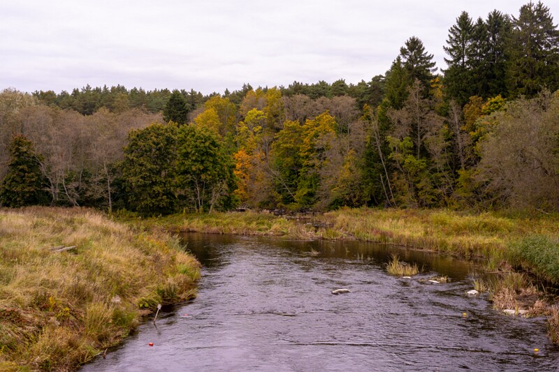 Kose-Lükati sild  2025-10-04 1-23