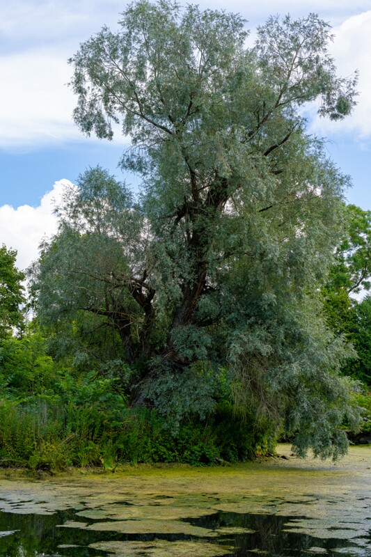 Kumna mõis  2026-08-08 1-5