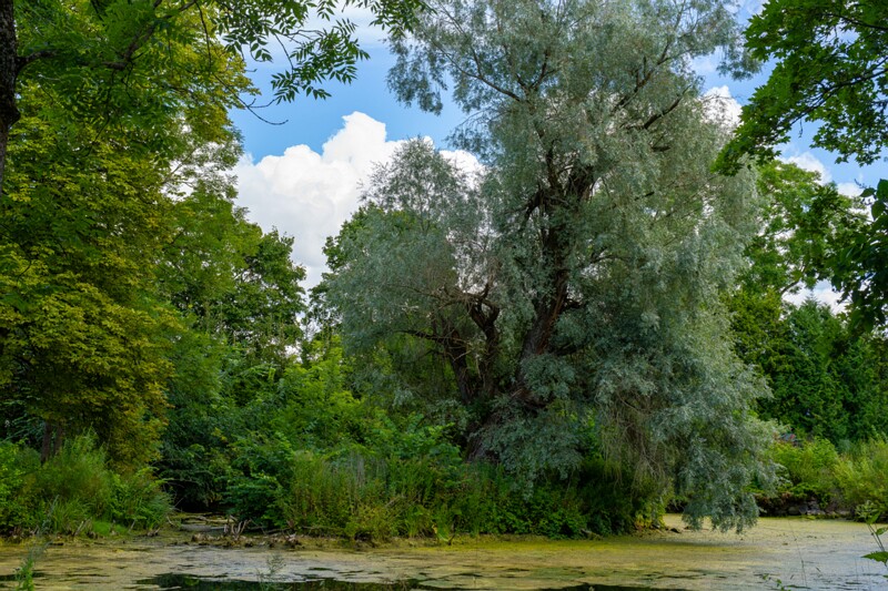Kumna mõis  2026-08-08 1-6
